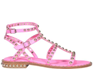 Ash Precious Studded Sandals