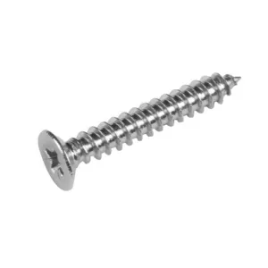 Scope SS304 Self Tap Screw